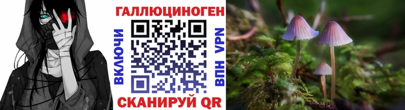 купить наркотики сайты  Ладушкин  Галлюциногенные грибы Cubensis 